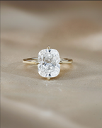 2.5 CT Cushion Cut Lab grown Diamond Hidden Halo Engagement Ring