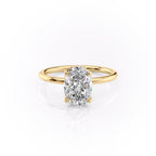 2 CT - 3 CT Oval Cut Petal Prong Style Moissanite Engagement Ring With Accent Stone