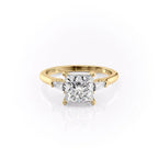2 CT - 3 CT Princess Cut Three Stone Moissanite Engagement Ring