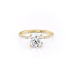 2 CT - 3 CT Round Cut Hidden Halo Pave Moissanite Engagement Ring