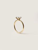 1 CT - 3 CT East-West Oval Cut Lab grown Diamond Solitaire Engagement Ring
