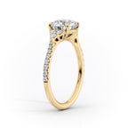 2 CT - 3 CT Princess Cut Cluster Pave Setting Moissanite Engagement Ring