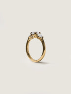 1 CT - 3 CT Round Cut Lab grown Diamond Three Stone Engagement Ring