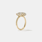 3.7 TCW Oval & Asscher Cut Lab grown Diamond Two Stone Engagement Ring