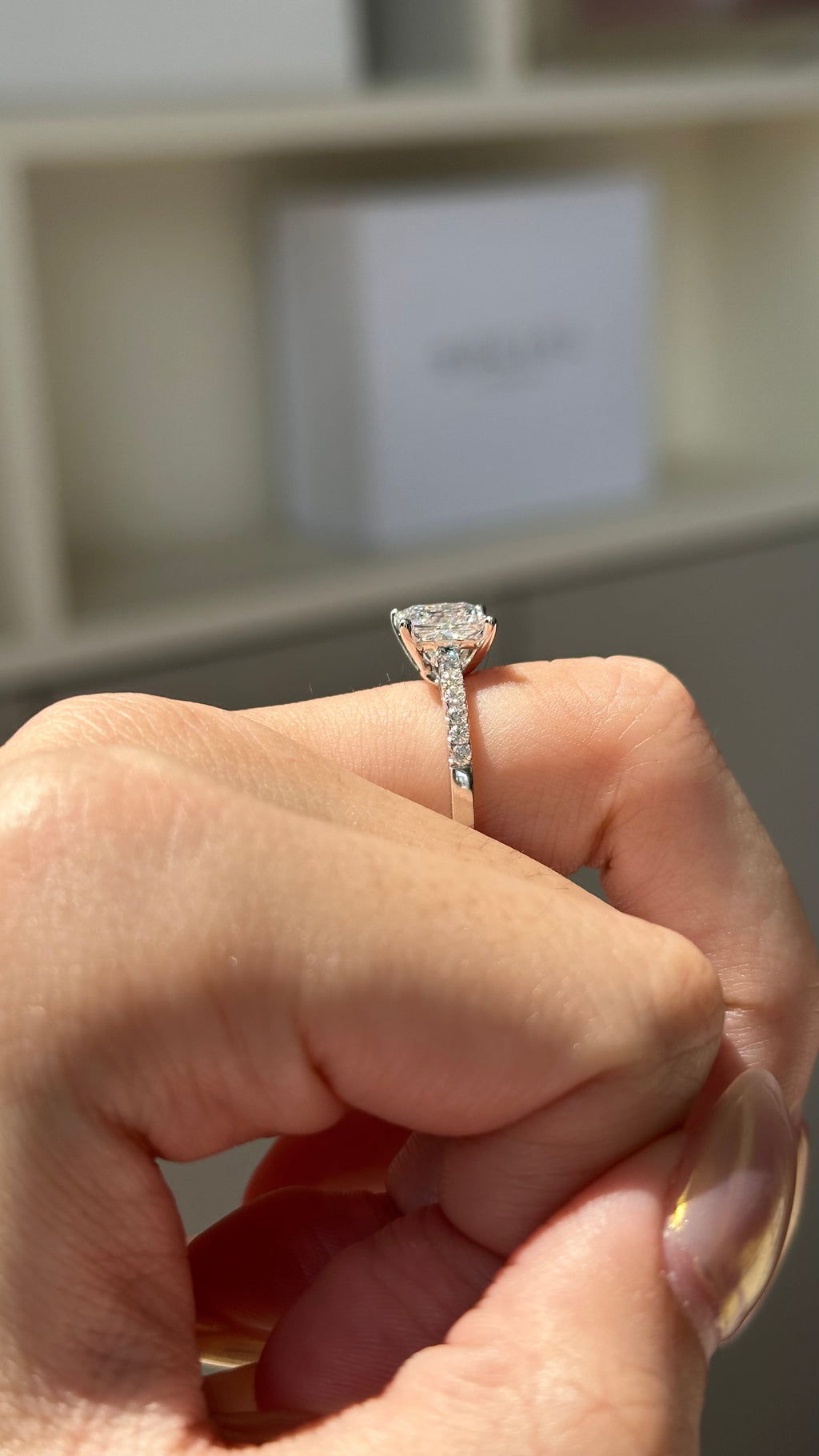 2 CT Princess Cut Lab grown Diamond Micro Pave Engagement Ring